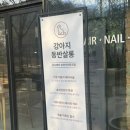 아이파크 애견미용실 이미지