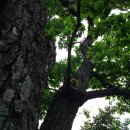 진고개공원 이미지