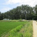 말머리공원 이미지