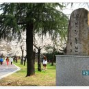 꽃보라동산 이미지