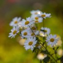 안다미로 스테이 이미지