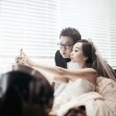 비비드케이