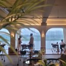 파인트리비 이미지