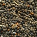 삼공주농장 이미지