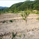 내곡농장 이미지