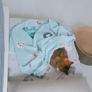 디엔씨펫 | [고양이방석_베드] 냥님만족도 집사만족도 100점 - 집사 침대 옆 펫디엔씨 고양이 마약방석 1년후기