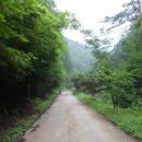 금강송체험야영장 이미지