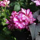 세보식품 이미지