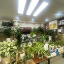 킴스연합의원 이미지