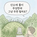 효심장묘 - 금산군 은행나무길 45 | 효심장묘