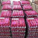 영인면사무소 이미지