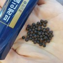 (주)알엑스바이오 이미지