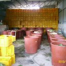 늘푸른농원 이미지