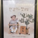어반이스트 호텔 | 어반이스트 호텔 돌잔치 솔직 후기!(만족도 100점)