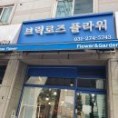 브릭로즈플라워