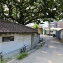 덕소2리 이미지