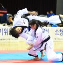 대동합기도 이미지