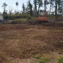 조수리엔 이미지