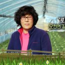 승원농장 이미지