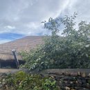 성곽민박 이미지