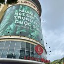 삼일유통(할인마트) | 베트남 다낭 롯데마트 기념품 추천 선물 리스트 총정리 내돈내산 후기