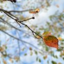 나도유튜브크리에이터 이미지