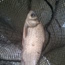 작은연못낚시터 이미지