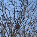 마정2리 이미지