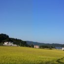 예산맛집 이미지