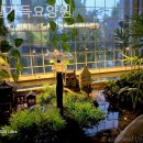 용해동동아아파트(31024) | 쾌적하고 시설좋은 햇살가득요양원 입소절차