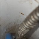 여천체육공원길 이미지