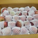 홈골 | 못난이 사과 (청송 홈골농원 ) 구매후기