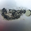 오렌지자동차공업사 이미지