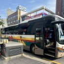 이즈마인 | 6월 제주 (2) : 트립이즈마인 동부투어 후기 (사려니 숲길 • 휴애리 • 허브동산 • 성산일출봉)