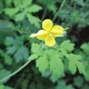 전대.에버랜드역 이미지