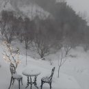 진인목장 네이버블로그