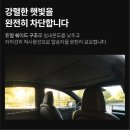 테슬라 주니퍼 전동 선쉐이드 한 달 후기, 풀 글래스 루프 여름 진짜 견딜만 했어요