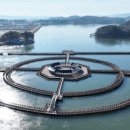 힐링라이프의원 이미지