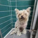 안마산로 이미지