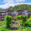 연화 스테이 이미지