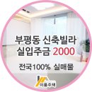 나누리청과 이미지