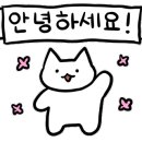 호와호와