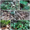 큰골짜기농장 이미지