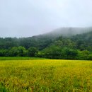 덕연농장 이미지