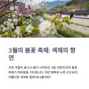3월의 봄꽃 축제, 겨울 끝자락에서 만나는 색채의 향연