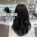 화신로 | 화정미용실 화정역미용실 제오헤어 화정점 도이실장님 시카클리닉 후기