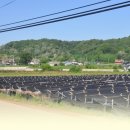 상두리마을 이미지