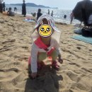 [공지] 대부도여행 끝에 들른 포도나무할머니 대부도칼국수 후기