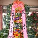 여주-0203 이미지