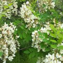 팔용산 등산로 입구 이미지